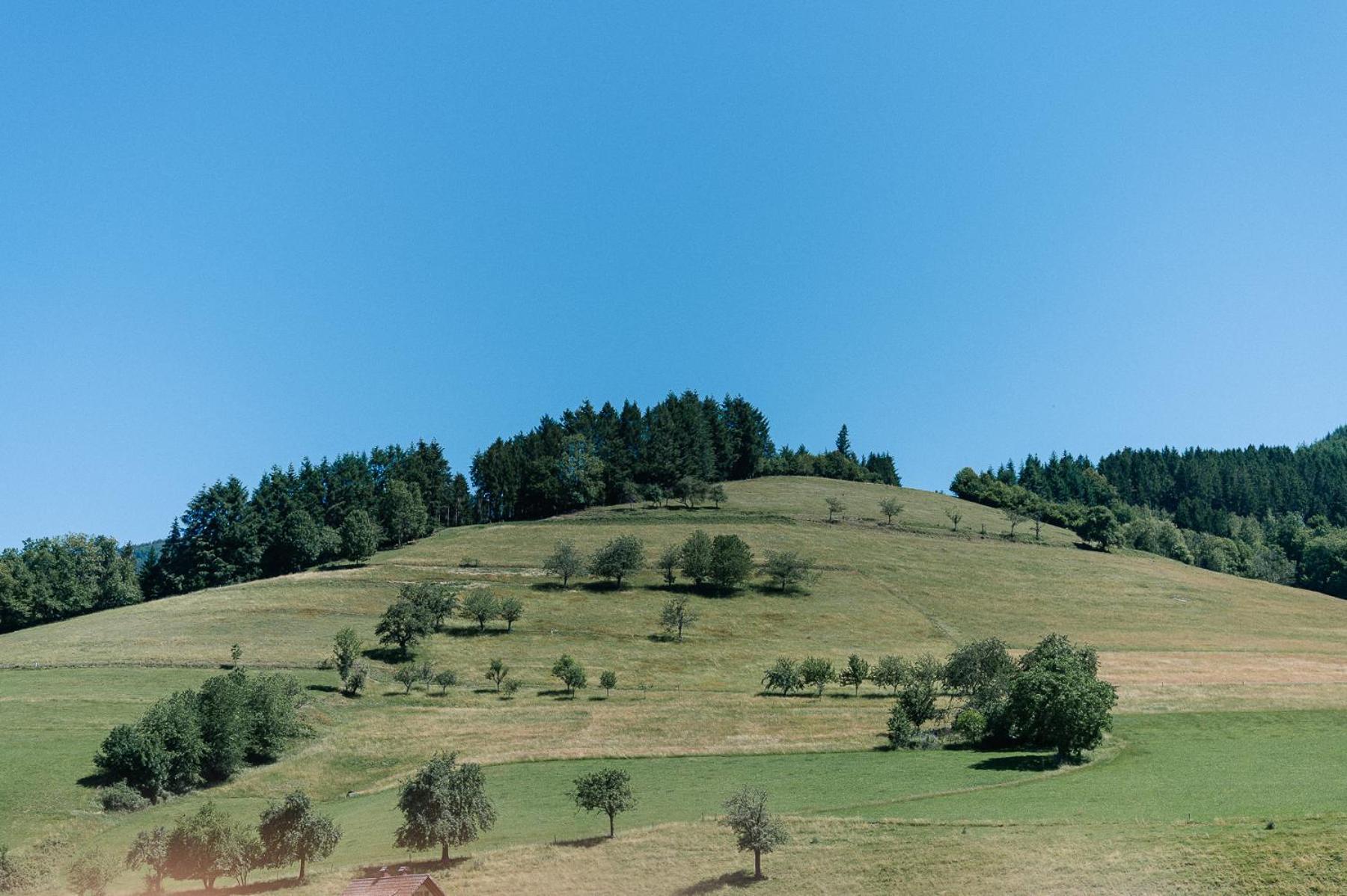 Moderne 2 Zi.-Fewo Blackforest Art Barrierefrei Naehe Freiburg 시몬스발드 외부 사진